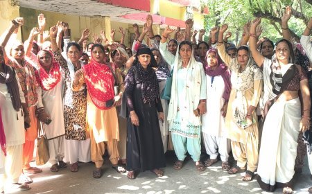 आशा कार्यकर्ताओं ने बुलंद की 26 हजार मानदेय की मांग, उपजिलाधिकारी को सौंपा ज्ञापन