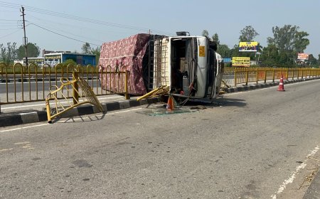 देवबंद में नवीन मंडी के पास डिवाइडर से टकराकर पलटा मालवाहक वाहन, चालक घायल