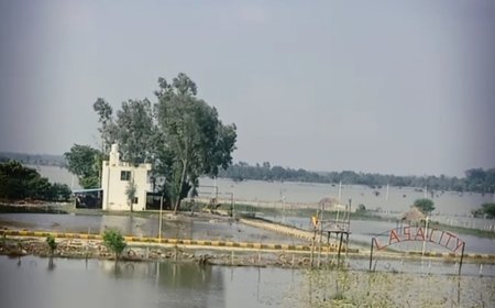 गोमती के उफान के बीच सुरक्षा कवच बना ग्रीन कॉरिडोर, लखनऊ में 5 लाख की आबादी को बाढ़ से बचाया
