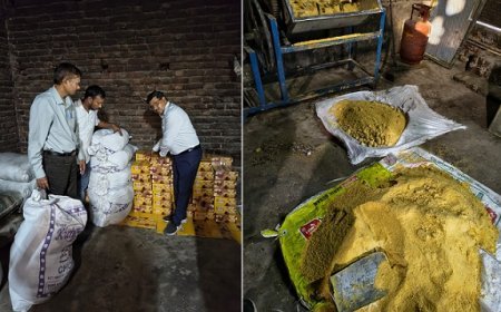Hardoi News: हरदोई में खाद्य विभाग की बड़ी कार्रवाई- सोहन पापड़ी निर्माण केंद्र पर छापा,335 किलो मिठाई समेत सामग्री सीज