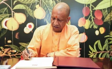 यूपी में विकास कार्यों को रफ्तार: सीएम योगी ने दिए एक्सप्रेसवे, लॉजिस्टिक हब और जीरो पावर्टी योजनाओं में तेजी के निर्देश