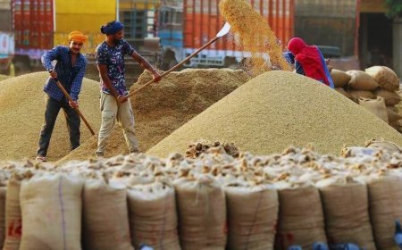 यूपी में धान खरीद की तारीखें घोषित: 65 लाख मीट्रिक टन का लक्ष्य, 48 घंटे में सीधे खाते में होगा भुगतान