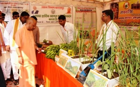 यूपी के 9 लाख किसानों को बड़ा तोहफा, योगी आदित्यनाथ जारी करेंगे 493 करोड़ की राहत राशि