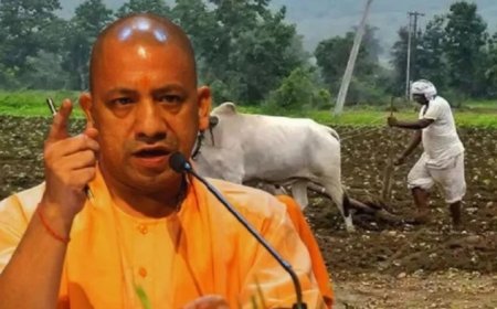 यूपी के 9.18 लाख किसानों को बड़ा आर्थिक सहारा, योगी आदित्यनाथ हस्तांतरित करेंगे 493 करोड़ की मुआवजा राशि