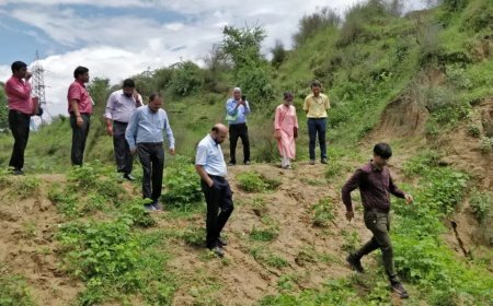 आगरा में सिकंदरा रजवाह और संरक्षित वन क्षेत्र से छेड़छाड़ पर एनजीटी सख्त: यूपी सरकार समेत 12 पक्षकारों को नोटिस जारी