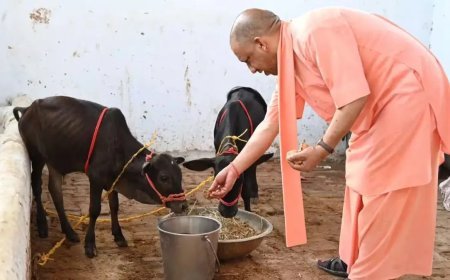 उत्तर प्रदेश के सभी 75 जिलों में खुलेंगे पंचगव्य आउटलेट: गो आधारित उत्पादों को मिलेगा बढ़ावा और बढ़ेंगे रोजगार के अवसर