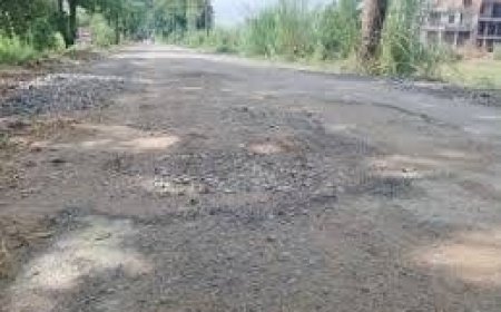 यूपी मंडी परिषद की बड़ी पहल: 1,111 संपर्क मार्गों की मरम्मत के लिए 477 करोड़ रुपये मंजूर, आसान होगा किसानों का सफर