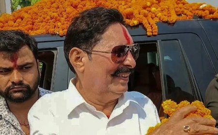 Anant Singh JDU Expulsion - जदयू से 6 साल के लिए निष्कासन पर बोले अनंत सिंह, 'पार्टी खत्म हो गई, नई पार्टी बनाऊंगा'