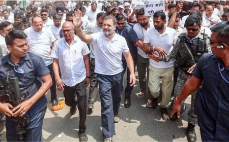 Purvanchal Expressway Accident - सुल्तानपुर जाते समय राहुल गांधी के काफिले की गाड़ियां आपस में टकराईं, नेता प्रतिपक्ष पूरी तरह सुरक्षित
