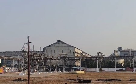 बुंदेलखंड के किसानों को बड़ी राहत: झांसी और ललितपुर में बनेंगे 65 हजार मीट्रिक टन क्षमता के भंडारगृह, जमीन निशुल्क