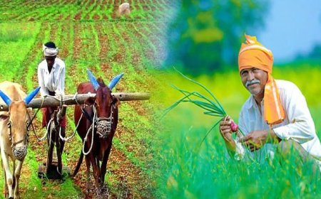 योगी सरकार का बड़ा फैसला- 'राज्य पशुधन मिशन' को मंजूरी, गाय खरीद पर ₹80,000 तक अनुदान और स्टार्टअप्स को बढ़ावा