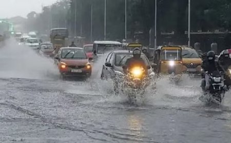 हरदोई में 30 और 31 अक्टूबर को भारी बारिश व वज्रपात का येलो अलर्ट- स्कूलों में अवकाश के निर्देश, आपदा एडवाइजरी जारी