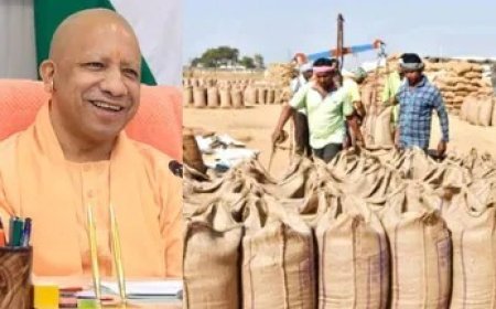 यूपी में धान खरीद का नया रिकॉर्ड: चार साल में 37.49 लाख से अधिक किसानों को मिला न्यूनतम समर्थन मूल्य का फायदा, पिछली सरकार से 152 प्रतिशत ज्यादा