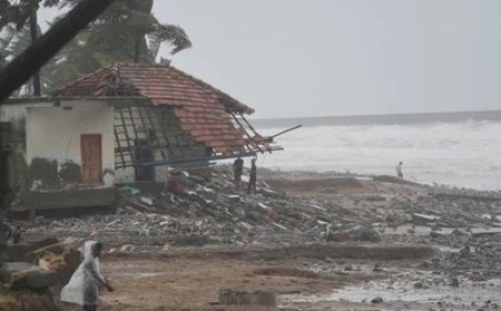 Cyclone Arnab Impact - आंध्र प्रदेश में चक्रवाती तूफान अर्नब का कहर, 5 की मौत और हजारों खंभे टूटने से ब्लैकआउट