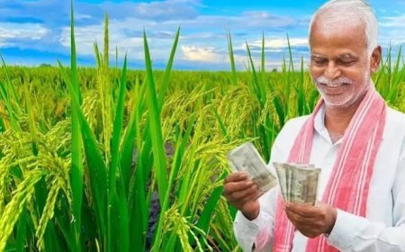 यूपी के 2.24 करोड़ किसानों के खातों में आएगी सम्मान निधि: पीएम मोदी जारी करेंगे 24वीं किस्त, मिलेंगे 4482 करोड़ रुपये