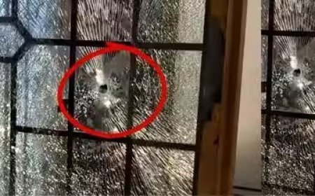 Jharkhand Crime Wave - हजारीबाग के होटल एके इंटरनेशनल पर अंधाधुंध फायरिंग, रांची में हत्या और घर पर गोलीबारी से दहशत
