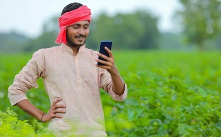 यूपी के 2.24 करोड़ किसानों के खातों में आई सम्मान निधि: 24वीं किस्त के ₹4482 करोड़ जारी, सीएम योगी ने जताया आभार