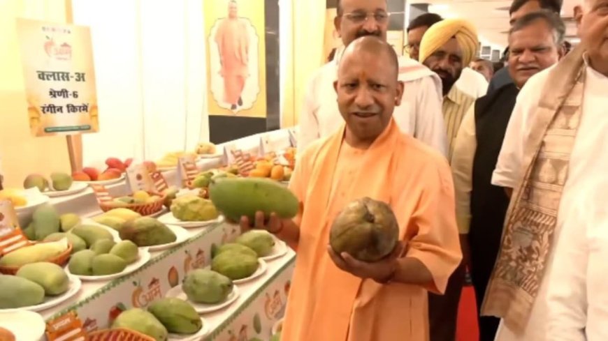 विदेशों में बढ़ी यूपी के आम की मांग: 5 वर्षों में 90 हजार क्विंटल का बंपर निर्यात, चौसा और दशहरी बने पहली पसंद