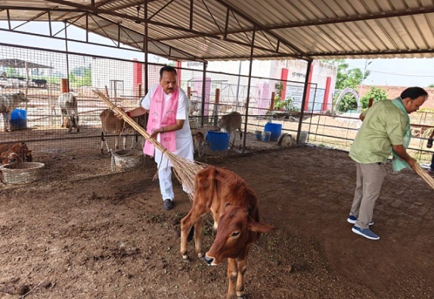 Hardoi News: सेवा संकल्प अभियान- विधायक माधवेन्द्र प्रताप सिंह ने गोआश्रय स्थल में किया पौधरोपण, चलाया स्वच्छता अभियान