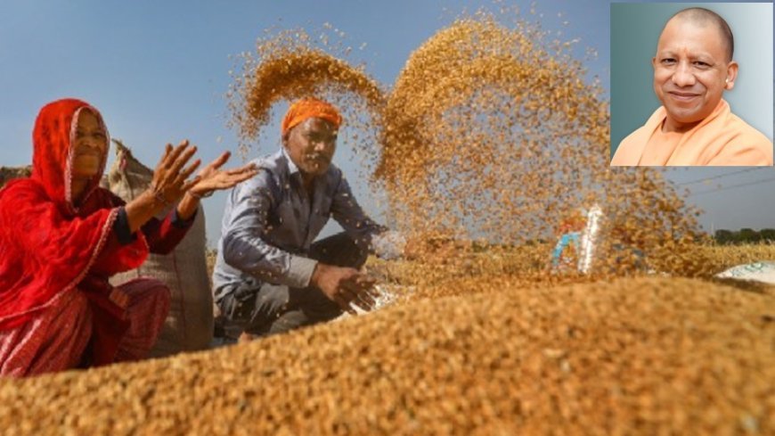 यूपी में किसान हित सर्वोपरि: नवनियुक्त मंडी सचिवों को मिलेगी विशेष ट्रेनिंग, मंडियों में बढ़ेगी पारदर्शिता