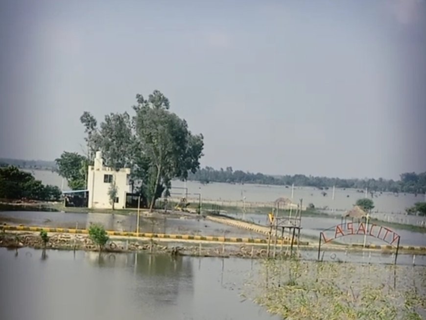 गोमती के उफान के बीच सुरक्षा कवच बना ग्रीन कॉरिडोर, लखनऊ में 5 लाख की आबादी को बाढ़ से बचाया