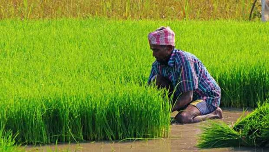 यूपी में चक्रवात और बाढ़ से प्रभावित फसलों का होगा डिजिटल सर्वे: योगी सरकार का निर्देश, किसानों को जल्द मिलेगा मुआवजा