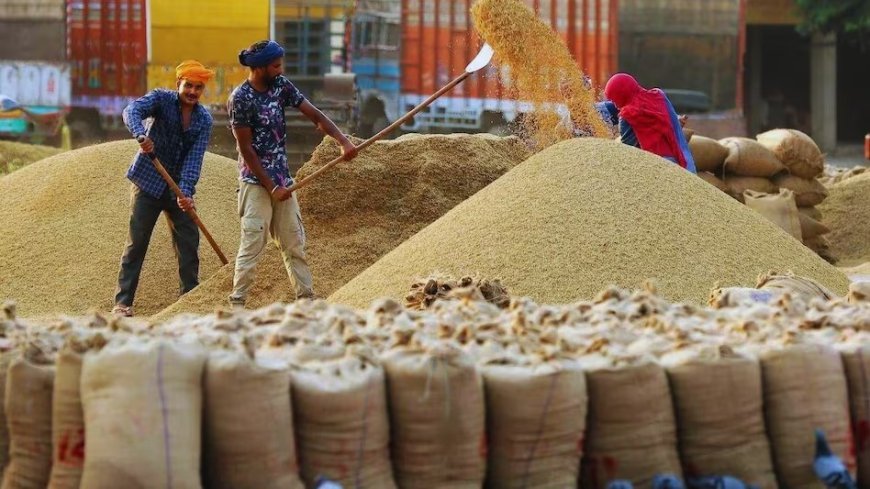 यूपी में धान खरीद की तारीखें घोषित: 65 लाख मीट्रिक टन का लक्ष्य, 48 घंटे में सीधे खाते में होगा भुगतान