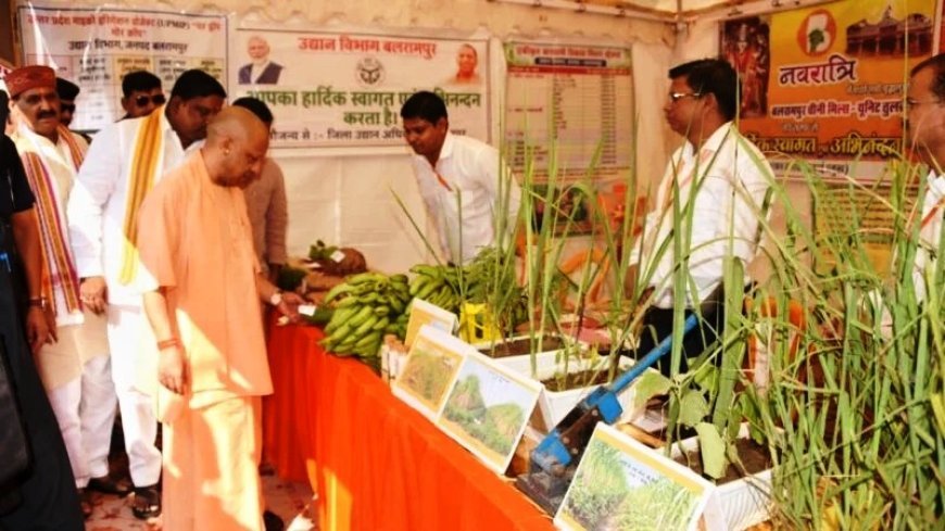 यूपी के 9 लाख किसानों को बड़ा तोहफा, योगी आदित्यनाथ जारी करेंगे 493 करोड़ की राहत राशि