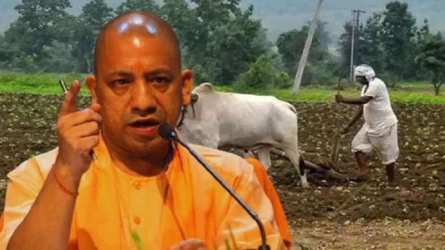 यूपी के 9.18 लाख किसानों को बड़ा आर्थिक सहारा, योगी आदित्यनाथ हस्तांतरित करेंगे 493 करोड़ की मुआवजा राशि