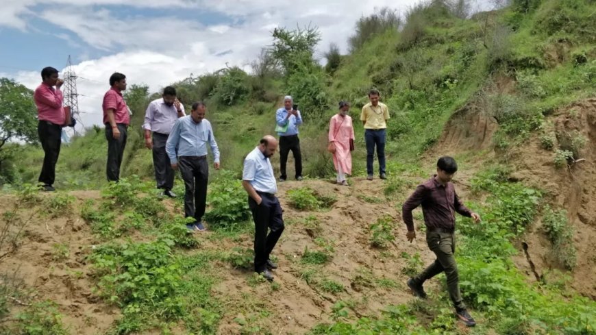 आगरा में सिकंदरा रजवाह और संरक्षित वन क्षेत्र से छेड़छाड़ पर एनजीटी सख्त: यूपी सरकार समेत 12 पक्षकारों को नोटिस जारी