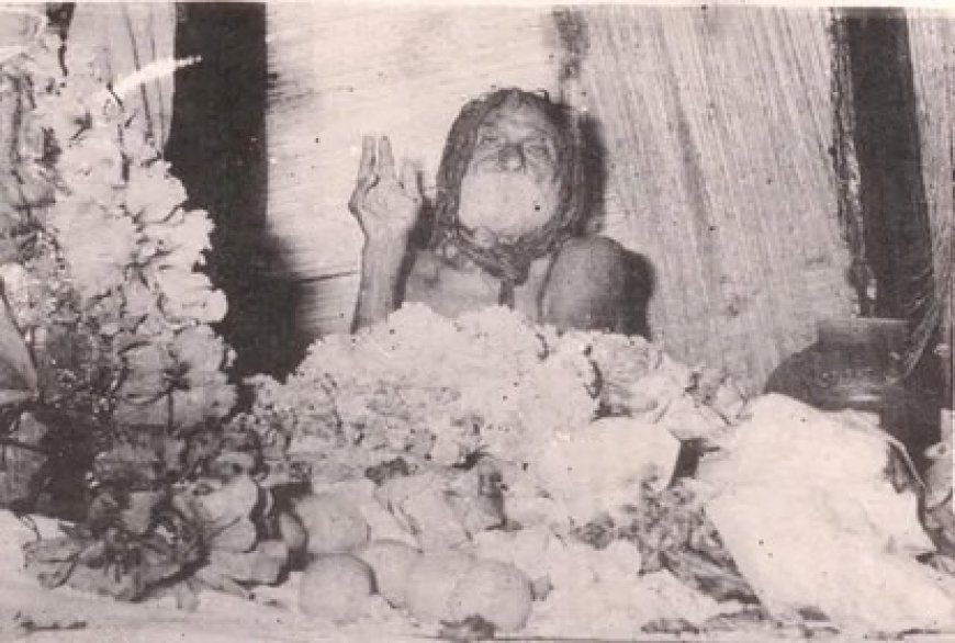 वृंदावन के संत देवराहा बाबा पर बनेगी फिल्म, साल 2027 में बड़े पर्दे पर आएगी 'मचान बाबा'