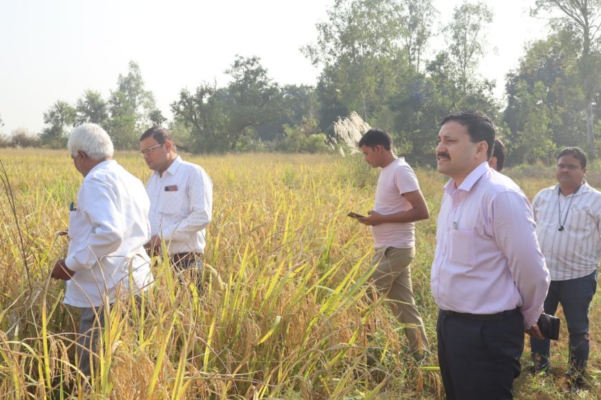 Hardoi News: हरदोई में DM राहुल पाण्डेय की मौजूदगी में धान की क्रॉप कटिंग संपन्न, उपज का किया गया आकलन