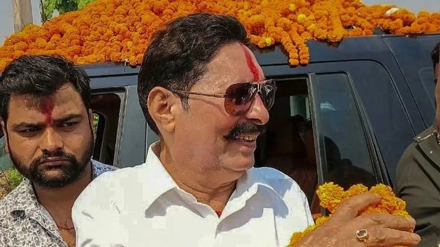 Anant Singh JDU Expulsion - जदयू से 6 साल के लिए निष्कासन पर बोले अनंत सिंह, 'पार्टी खत्म हो गई, नई पार्टी बनाऊंगा'