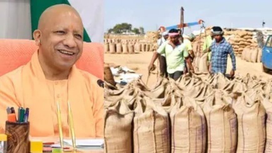 यूपी में धान खरीद का नया रिकॉर्ड: चार साल में 37.49 लाख से अधिक किसानों को मिला न्यूनतम समर्थन मूल्य का फायदा, पिछली सरकार से 152 प्रतिशत ज्यादा