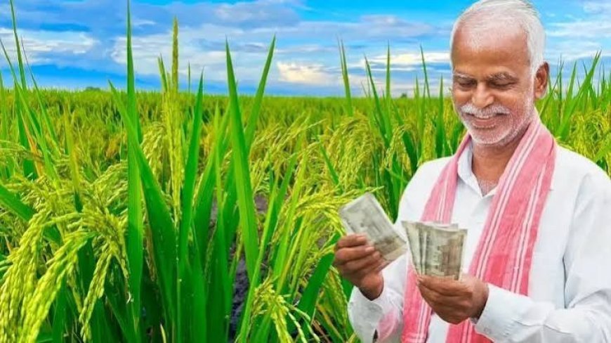 यूपी के 2.24 करोड़ किसानों के खातों में आएगी सम्मान निधि: पीएम मोदी जारी करेंगे 24वीं किस्त, मिलेंगे 4482 करोड़ रुपये