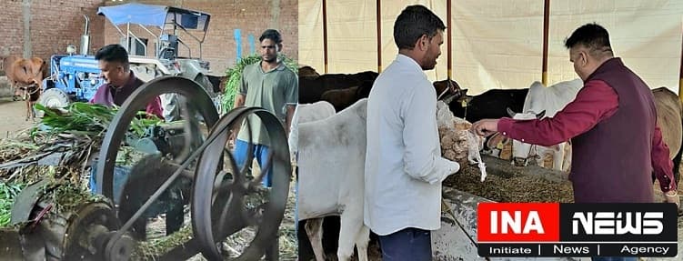 Saharanpur News On the occasion of Govardhan Puja, DM himself cut grass and did cow service.